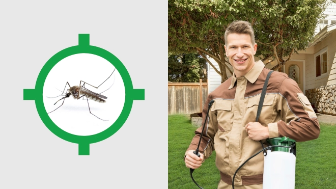 Gnat Control Near Me