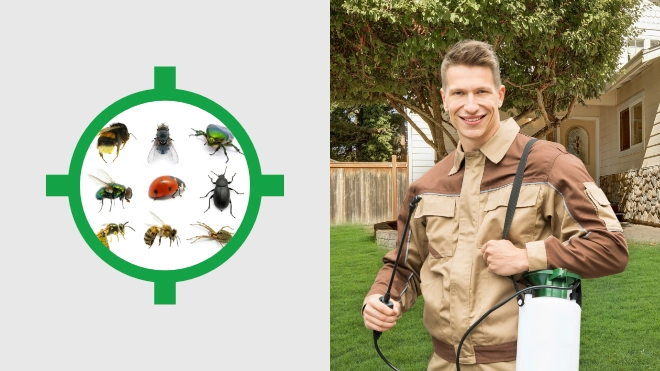 Pest Control Near Me Local Pest Control Services Pest Appointment