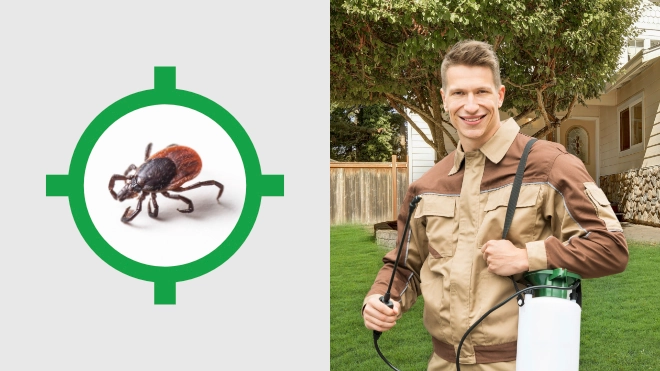Tick Control Near Me